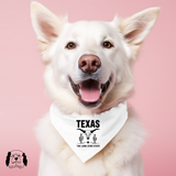 Sparky & Co Regional Graphic Pet Bandana