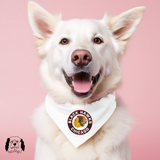 Sparky & Co Chicago Pro Sports Team Pet Bandana