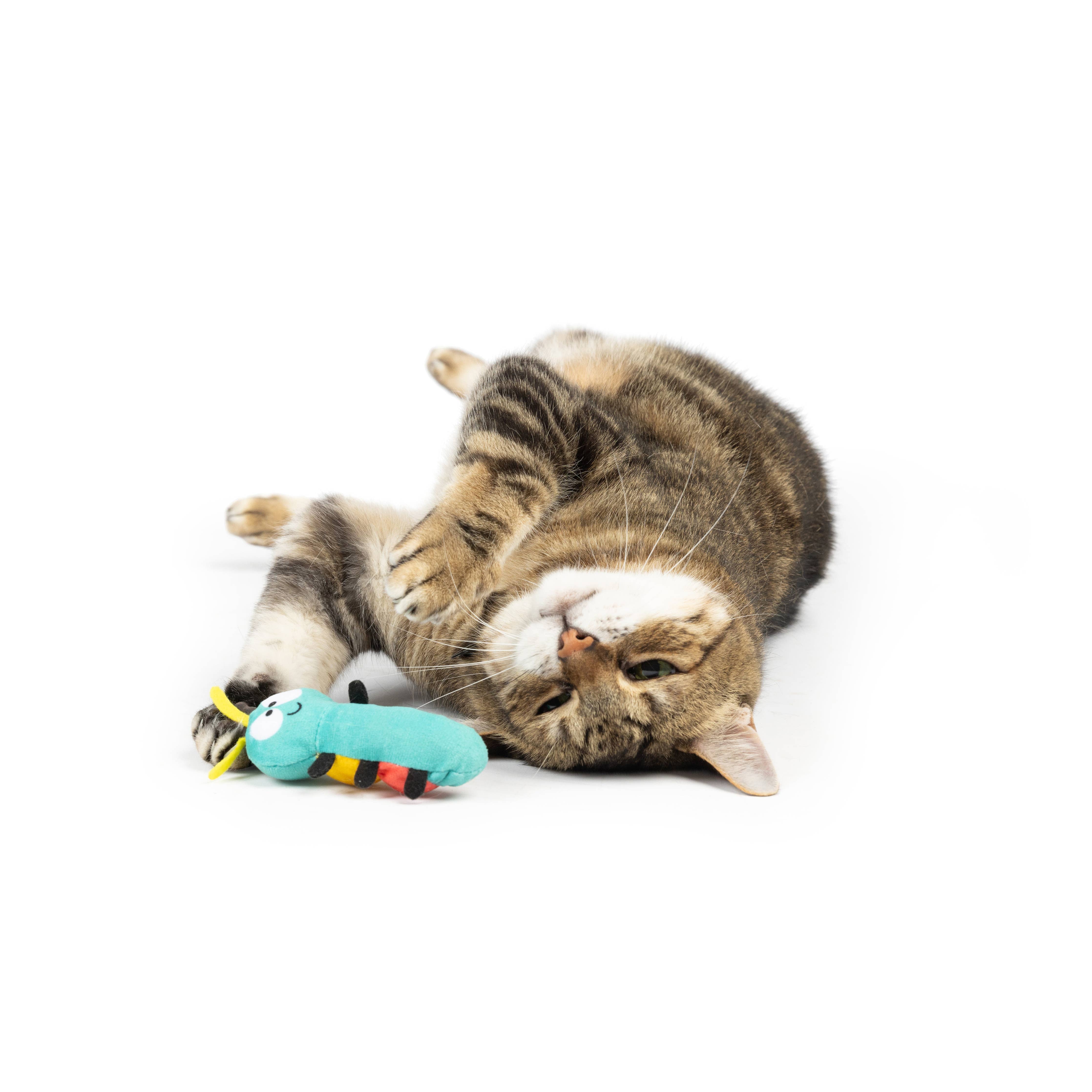 Huxley & Kent Caterpillar Cat Toy