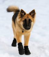 Alldogboots PolarPaws Soft Sole Waterproof Winter Dog Boots