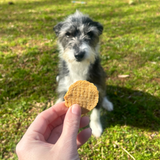 Farm to Pet Healthy Dog Treats Fish Chips Dog Treats