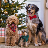The Foggy Dog - Tartan Plaid Flannel Holiday Dog Bandana