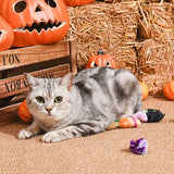 HugSmart Pet Spooky Cats Witch's Brew Cat Toy