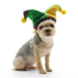 Dogo Pet Hat - Joker