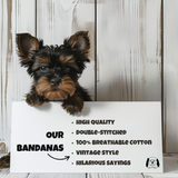 Sparky & Co Chicago Pro Sports Team Pet Bandana