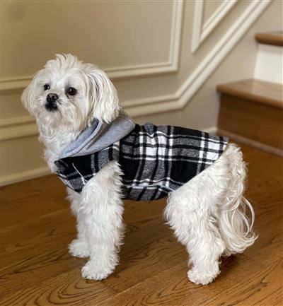 Doggie Design Weekender Dog Sweatshirt Hoodie for Dogs