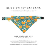 Made By Cleo - "Pumpkin Patch - Teal" - Fall Bandana for Cats + Small Dogs