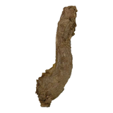Bones & Co Freeze-Dried Raw Individual Treats
