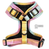 SASSY WOOF The Night Life (Reflective) Dog Adjustable Harness