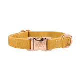 SASSY WOOF Sunflower Fields Dog Collar