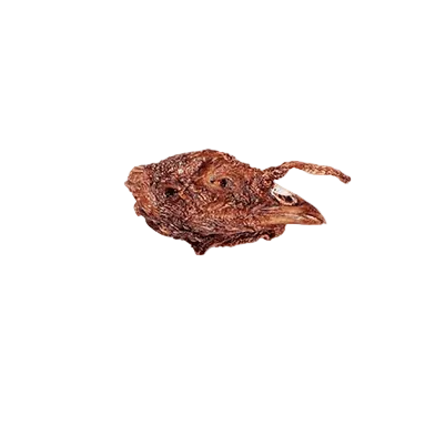 Farm Hounds Chew: Turkey Head