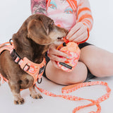 SASSY WOOF Summer Sorbet Treat Pouch