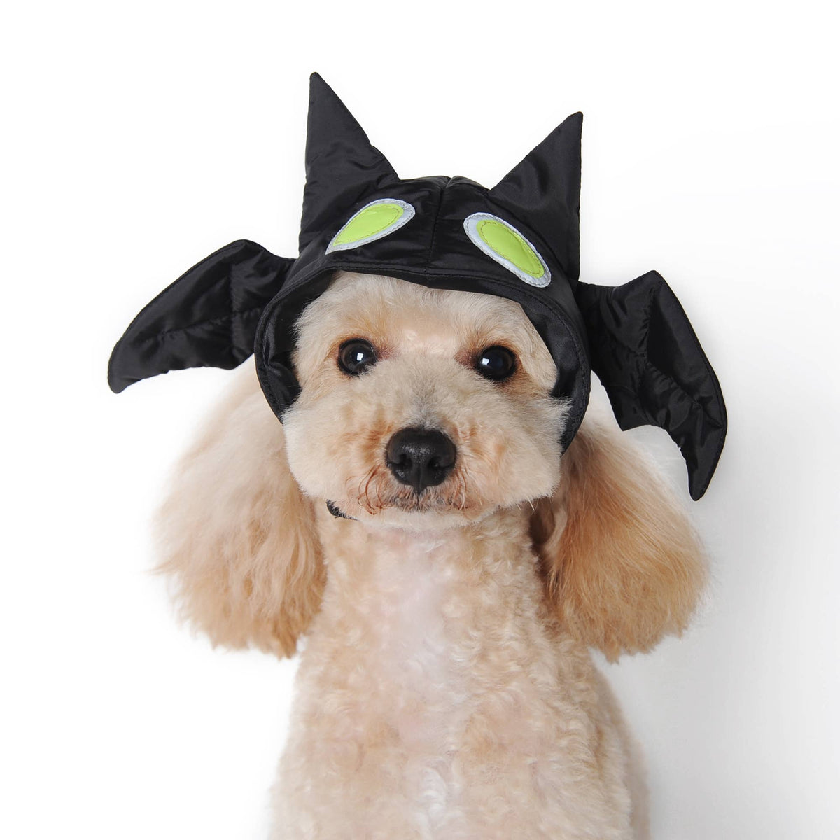 Dogo Pet Hat - Bat
