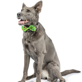 Huxley & Kent Garden Party Bow Tie