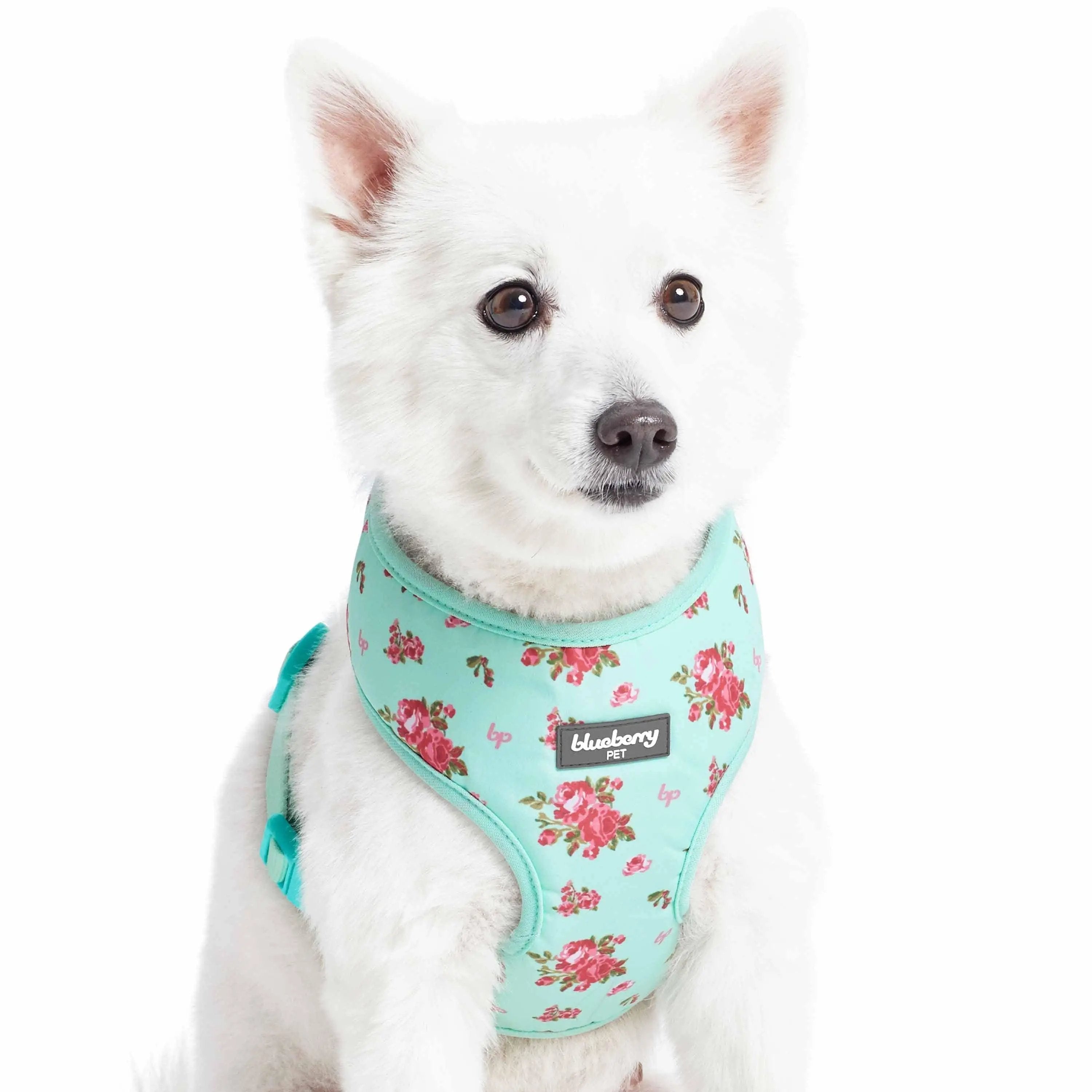 Blueberry Pet Petal Paws Floral Dog Harness Vest
