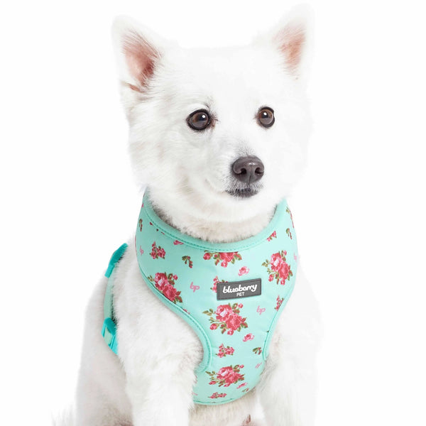 Blueberry Pet Petal Paws Floral Dog Harness Vest