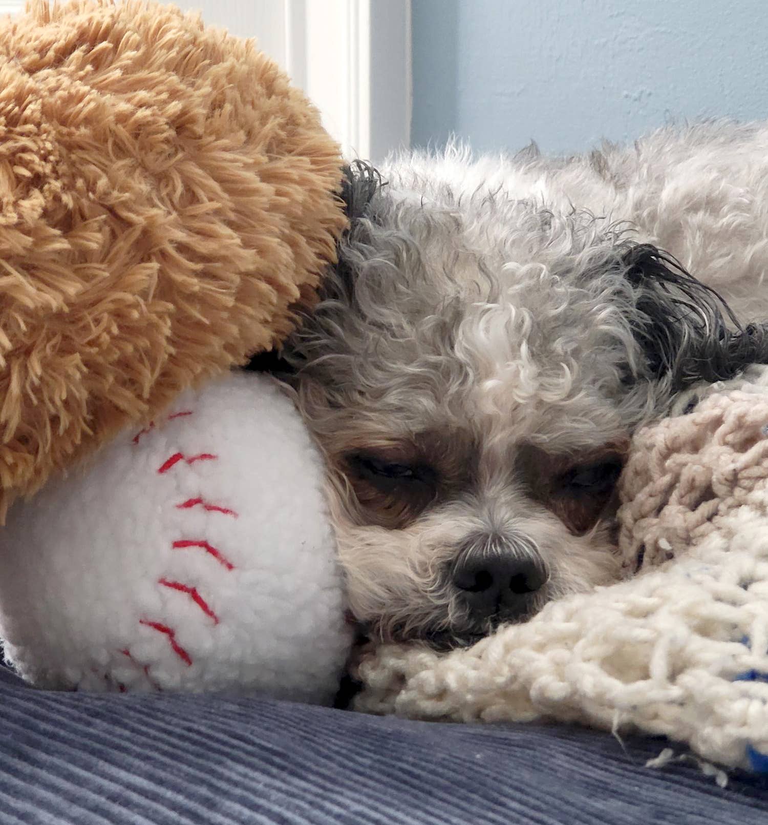 ThoozyPet Baseball Plush Dog Toy 4"