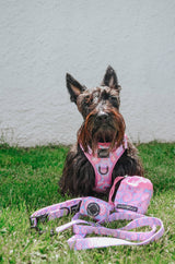 SASSY WOOF Purple Haze Dog Waste Bag Holder