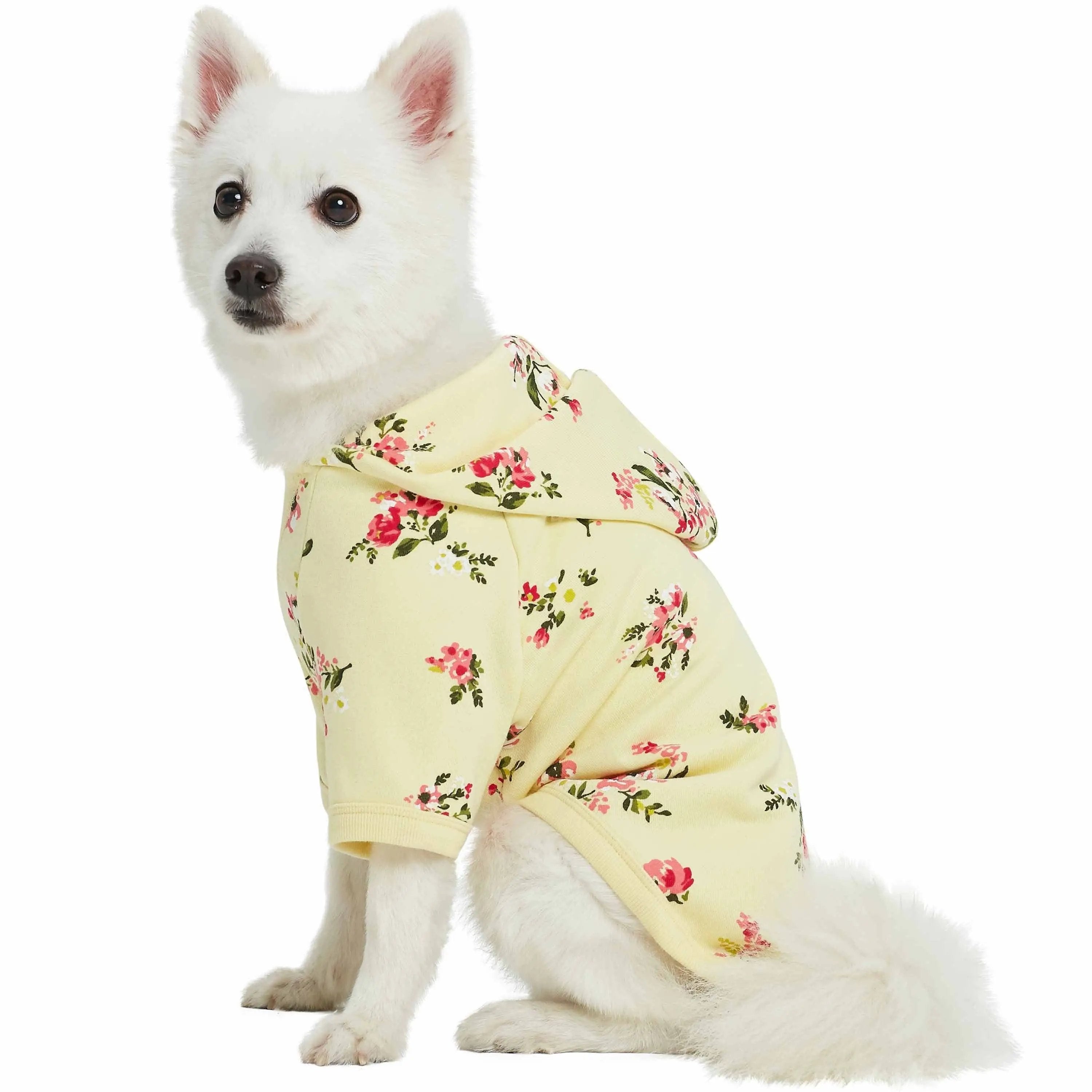 Blueberry Pet - 4 Colors, French Terry Spring Floral Crewneck and Hoodie