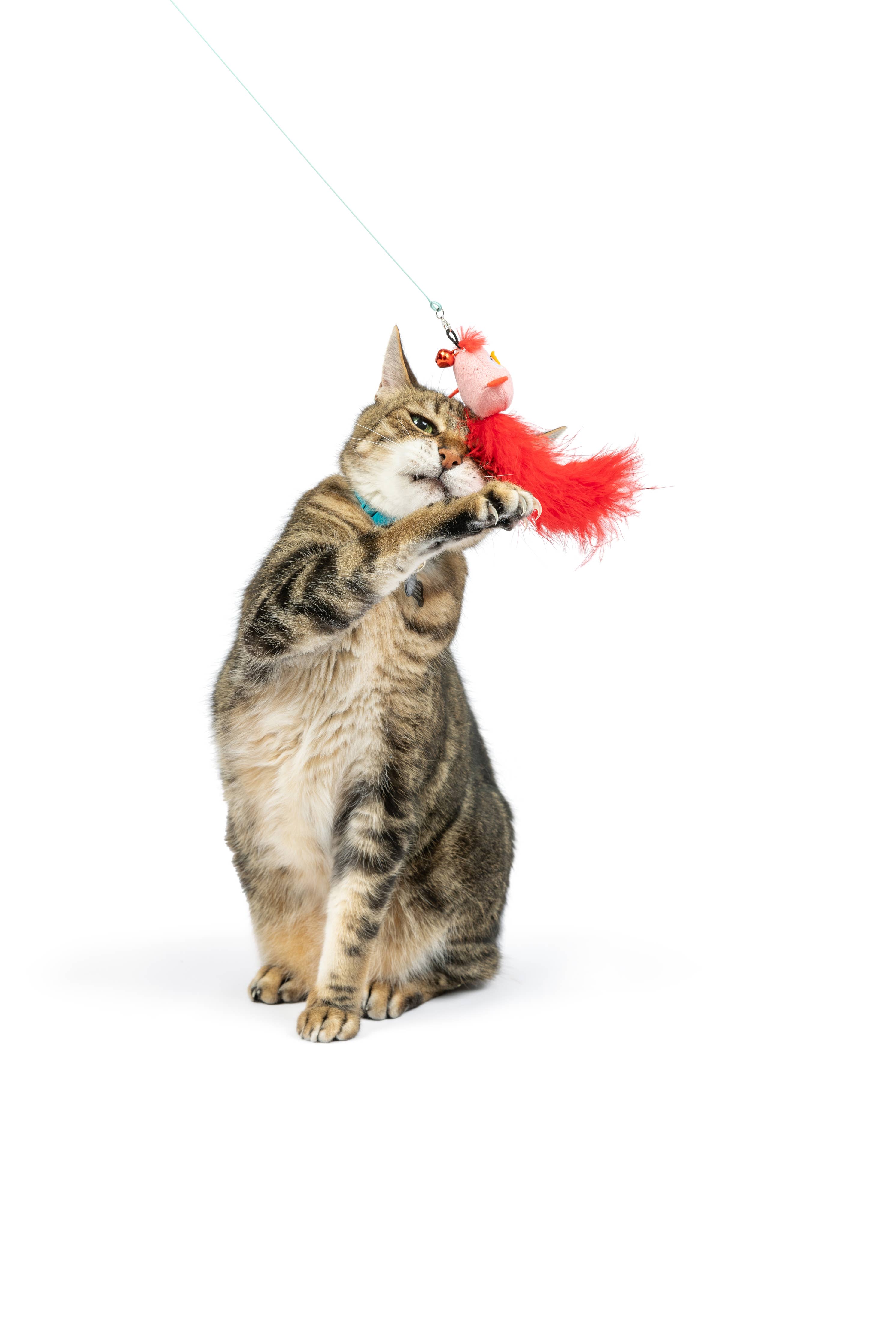 Huxley & Kent Wire Wand Cat Toy