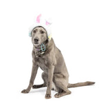 Huxley & Kent Hat Bunny Ears with SnugFit