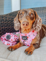 SASSY WOOF Mon Chérry Dog Waste Bag Holder