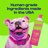 Dirty Dog Beauty Club Furboost Cleanser