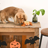 HugSmart Pet Howloween Night Spider Ball Dog Toy