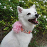 Blueberry Pet Detachable Pink Peony on Floral Dog Collar
