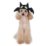Dogo Pet Hat - Bat
