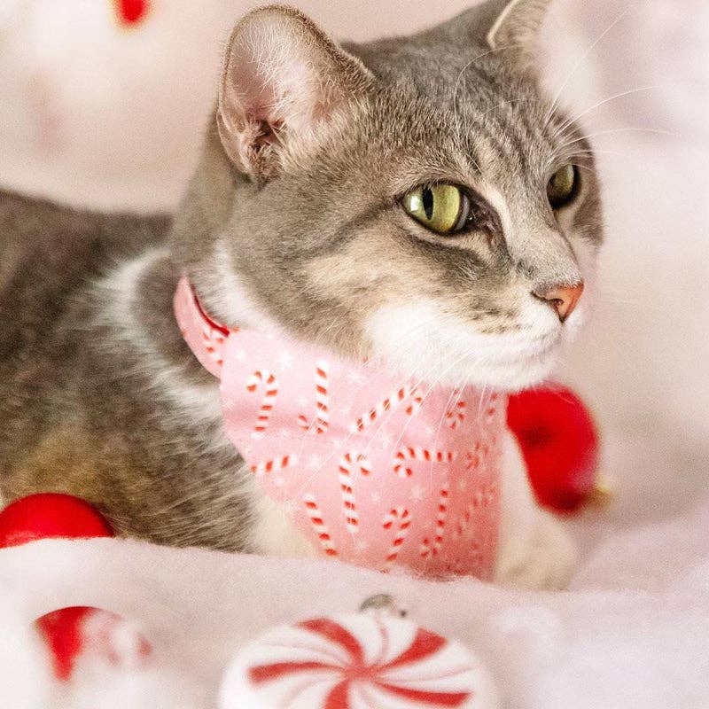 Made By Cleo - "Candy Christmas" - Holiday Bandana for Cats + Small Dogs
