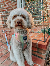 SASSY WOOF The Night Life (Reflective) Dog Adjustable Harness