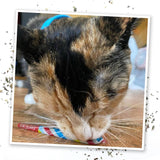 Meowijuana Birthjays Party Sized Catnip Joints
