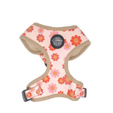 Chicago Dog Co. Flower Power Harness