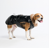 Spark Paws Slip-on Insulated Jacket