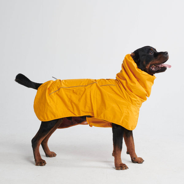 Spark Paws Breatheshield Dog Raincoat