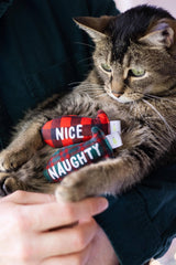 Pearhead Christmas Naughty & Nice 2pk Cat Toys