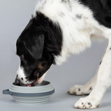 Cleverpup Nomad Collapsible Dog Bowl