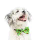 Huxley & Kent Garden Party Bow Tie