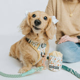 SASSY WOOF Sunflower Dreams Treat Pouch