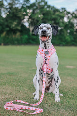SASSY WOOF Mon Chérry Dog Waste Bag Holder