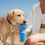 Springer Pets Dog Travel Water Bottle Flip Silicone 20oz
