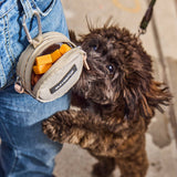Cleverpup Snackpack Double Insulated Dog Treat Pouch