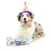 Huxley & Kent Happy Barkday Celebration Box for Dogs