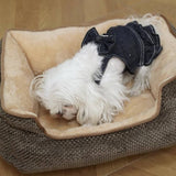 PAWPAW Thickened & Raised Non-Slip Pet Bed