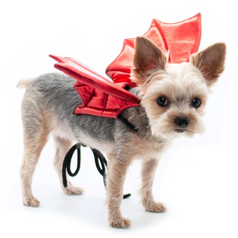 Dogo Pet Wings - Dragon
