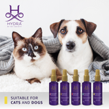Hydra by Pet Society Hydra Professional Forever Candy Cologne for Dogs