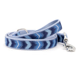 The Worthy Dog Ombre Lead