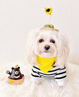 Mom And Pup Co. Over the Collar Dog Bandana