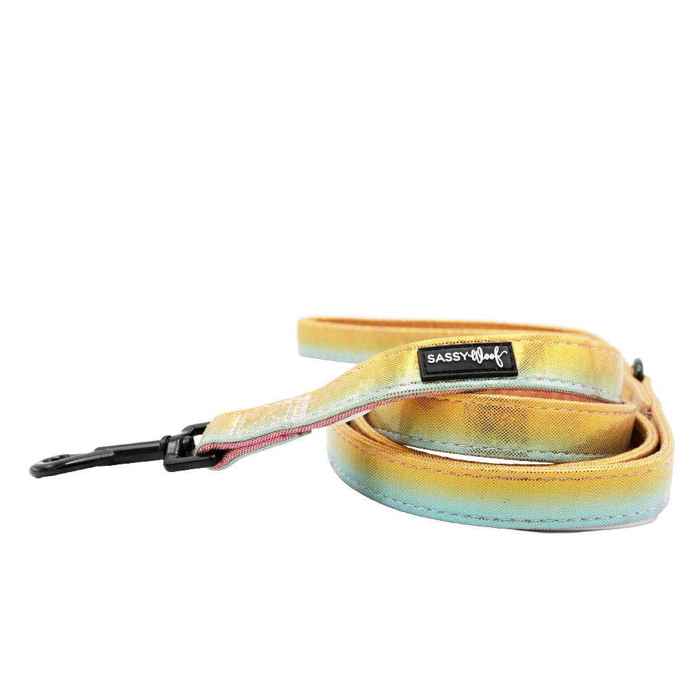 SASSY WOOF The Night Life (Reflective) Dog Leash